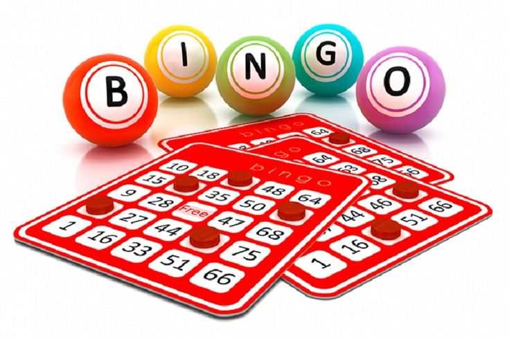 Bingo Là Gì - Cách Hiểu Và Chơi Chuẩn Nhất